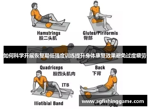 如何科学开展恢复期低强度训练提升身体康复效果避免过度疲劳
