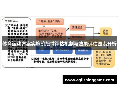 体育运动方案实施阶段性评估机制与效果评估图表分析